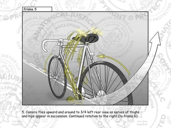 Brain on Bike Storyboards