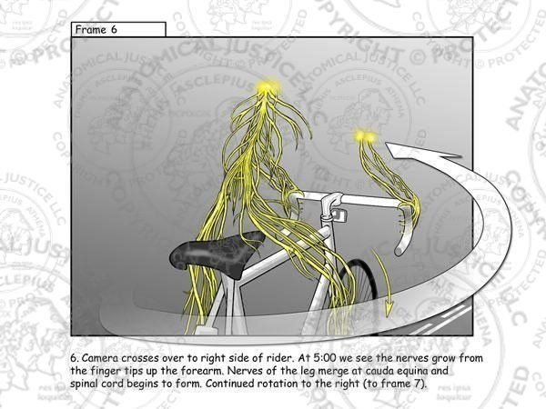 Brain on Bike Storyboards