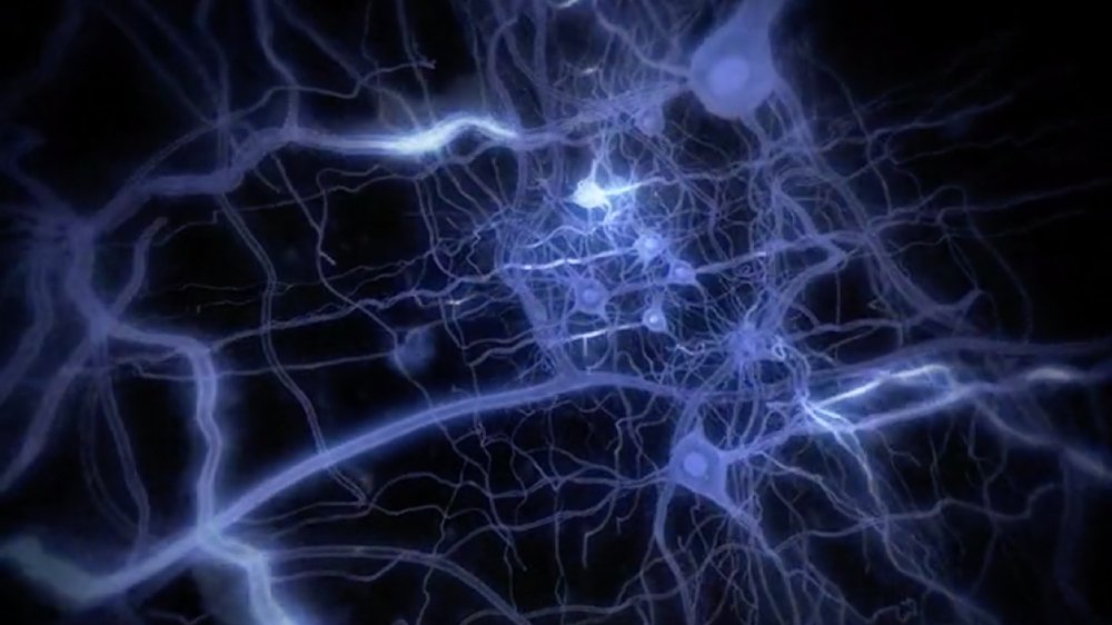 Neuron Sequence
